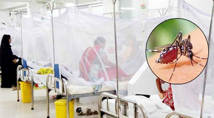 ডেঙ্গুতে ৬ জনের মৃত্যু, হাসপাতালে ভর্তি ৫৮৬