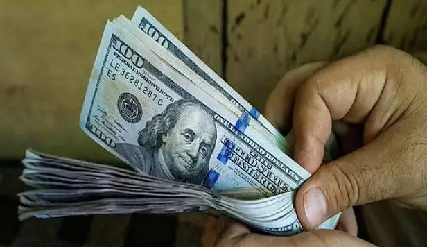 ১৯ দিনে প্রবাসীরা পাঠালেন দুই বিলিয়ন ডলার