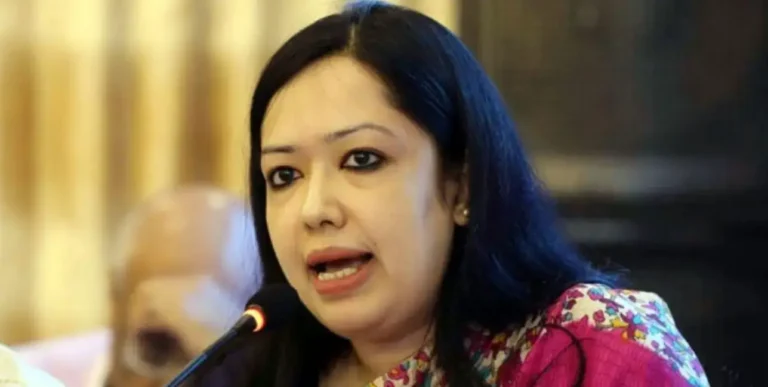 মনোনয়ন না পাওয়া নিয়ে মুখ খুললেন রুমিন ফারহানা