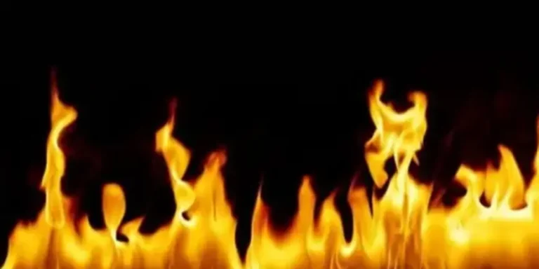 আগারগাঁওয়ে গ্যাস লিকেজে বিস্ফোরণ , একই পরিবারের দগ্ধ ৬