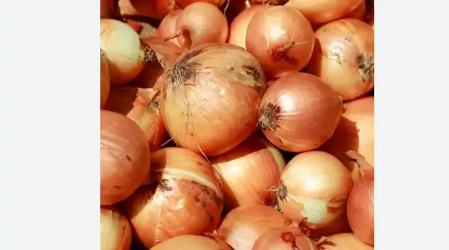 কৃত্রিম সংকটে পেয়াঁজের দাম বেড়ে ১৬০ টাকা , ভোগান্তিতে ভোক্তা