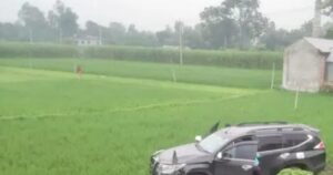 নিয়ন্ত্রণ হারিয়ে ধানক্ষেতে খাদ্য প্রতিমন্ত্রীর গাড়ি
