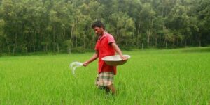 সার ব্যবস্থাপনায় নতুন উদ্যোগ, ৬৪ জেলায় শতভাগ বরাদ্দ পাবে কৃষকরা