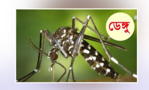ডেঙ্গুতে আরও ৫ জনের মৃত্যু, হাসপাতালে ভর্তি ১ হাজার ৫১২